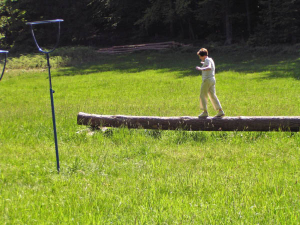 P5010423_bearbeitet-1