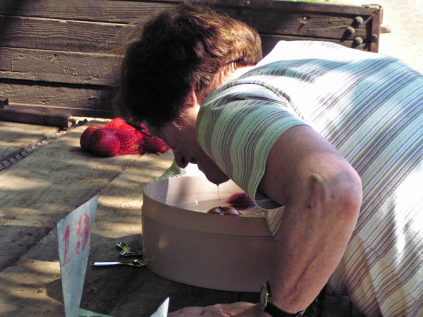 P5010429_bearbeitet-1